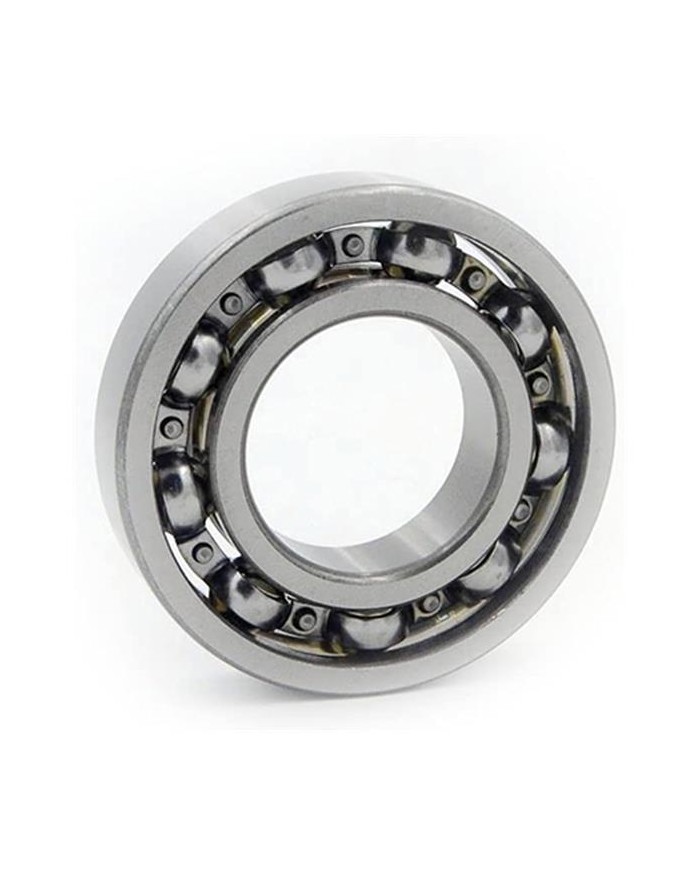 RODAMI6006-RSR EJE 30MM HORMIGONER140L