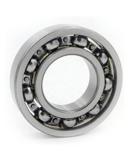 RODAMI6006-RSR EJE 30MM HORMIGONER140L